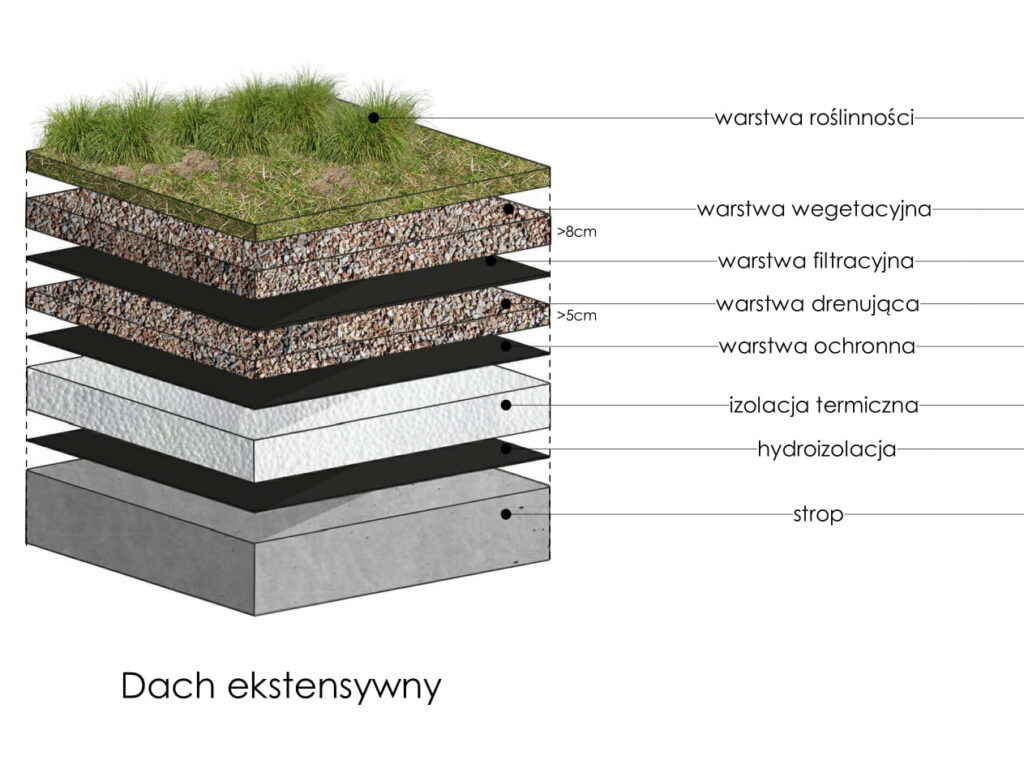 Dach zielony intensywny i ekstensywny